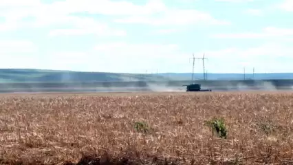 Жара может повлиять на сроки посадки озимых культур в Нижнекамском районе