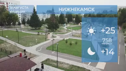 Прогноз погоды в Нижнекамске на 16-е августа 2022 года