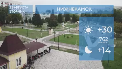 Прогноз погоды в Нижнекамске на 23-е августа 2022 года