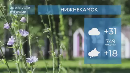 Прогноз погоды в Нижнекамске на 30-е августа 2022 года