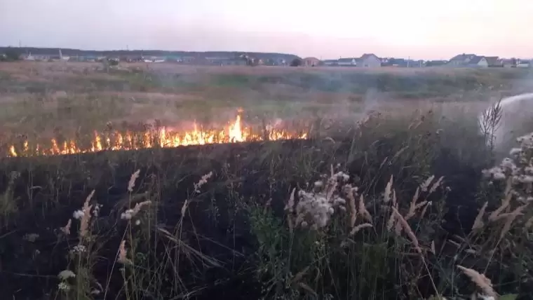 В Нижнекамском районе около Афанасово горела трава