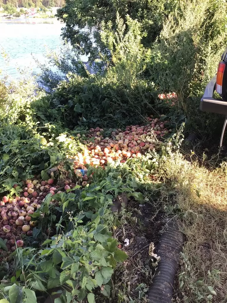 Нижнекамцы обнаружили свалку на берегу озера Каракуль