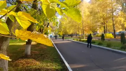 В Татарстане сохраняется холодная погода и пожарная опасность лесов