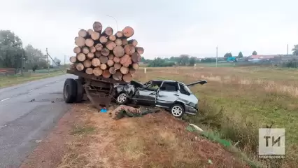 В Татарстане водитель легковушки погиб, влетев в прицеп с бревнами