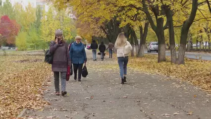 На выходных жителей Татарстана ожидает небольшой дождь и до +24