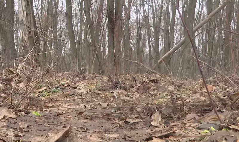 В Нижнекамске найдено тело, вероятно, пропавшего ранее человека