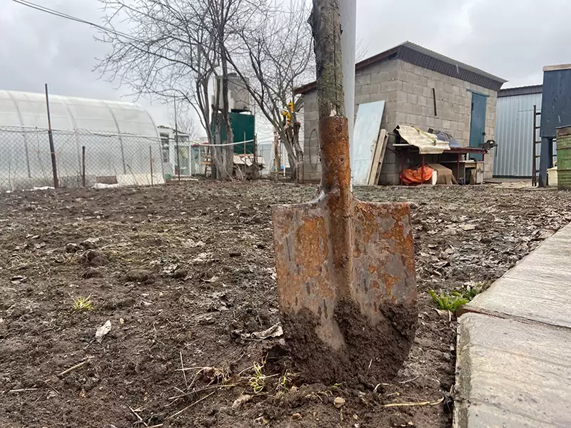 Что нужно сделать в огороде в третьей декаде октября