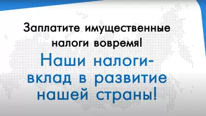 Какие налоги нужно заплатить до 1 декабря?