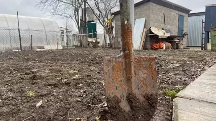 Что нужно сделать в огороде в третьей декаде октября