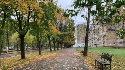 До конца недели в Татарстане сохранится дождливая и ветреная погода