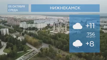 Прогноз погоды в Нижнекамске на 5-е октября 2022 года