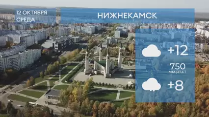 Прогноз погоды в Нижнекамске на 12-е октября 2022 года