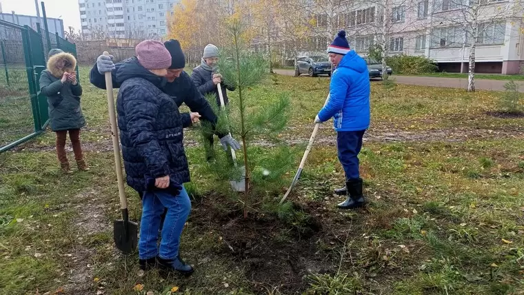 Нижнекамцы во главе с Айдаром Метшиным высадили 16 елей возле НХТИ