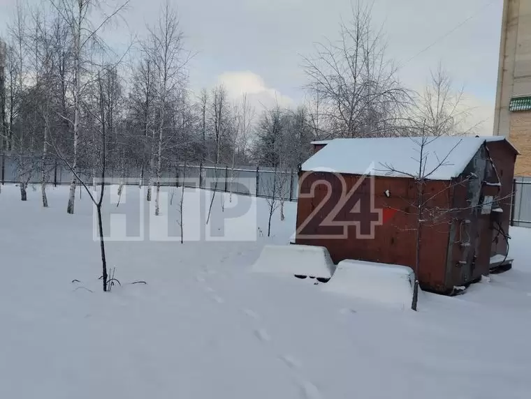 В Нижнекамске началась подготовка к строительству дома на месте березовой рощи