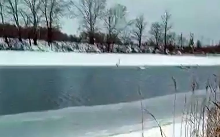 На замерзающем озере в Нижнекамском районе заметили лебедей