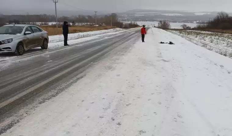 На трассе в Татарстане водитель насмерть сбил человека и скрылся с места ДТП