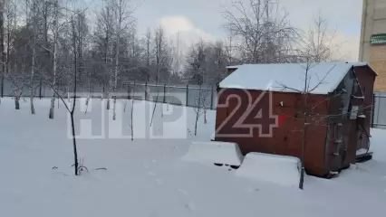 В Нижнекамске началась подготовка к строительству дома на месте березовой рощи