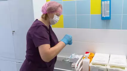 Нижнекамцев призывают защититься от свиного гриппа H1N1 прививкой