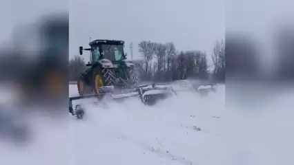 Урожай озимых культур в Нижнекамском районе оказался под угрозой из-за ледяного дождя