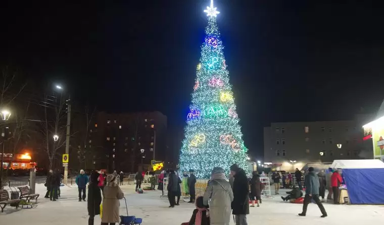 Более 60 полицейских будут обеспечивать порядок в новогоднюю ночь на елочных городках в Нижнекамске