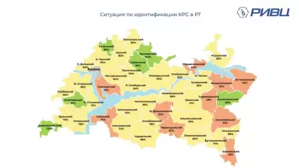 204 866 голов КРС необходимо идентифицировать до конца 2022 года