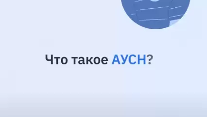 Что такое АУСН?