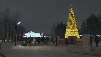 На этой неделе в Нижнекамске откроются три елочных городка