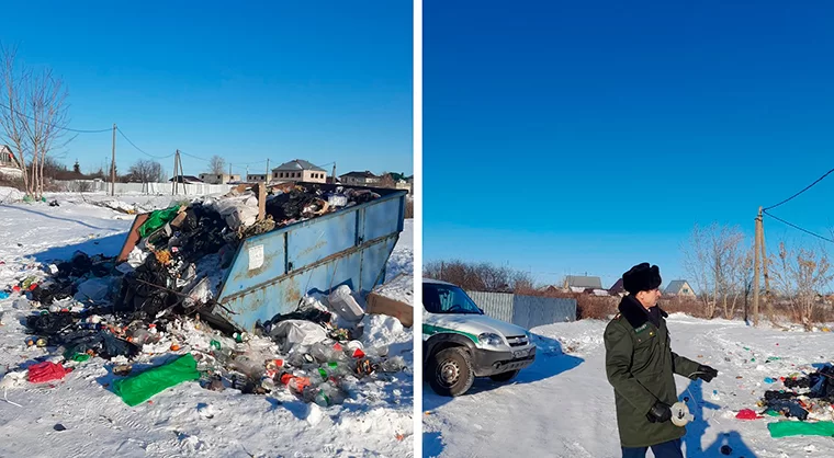 Экологи обязали председателя нижнекамского СНТ убрать свалку