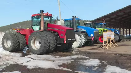 В Татарстане выделят более 8 млрд рублей на рекультивацию иловых полей