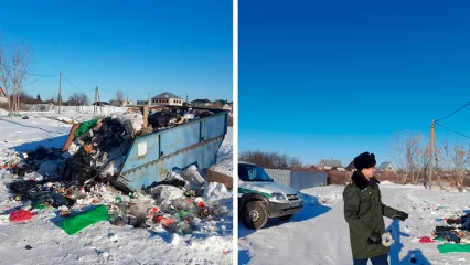 Экологи обязали председателя нижнекамского СНТ убрать свалку