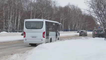 В Нижнекамске хотят ввести безлимитный проездной