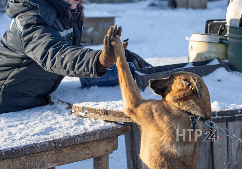 Хозяйка приюта «Добрые руки» с одним из своих подопечных