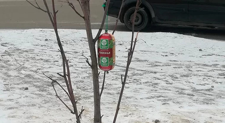 В Нижнекамске обнаружили мясное дерево