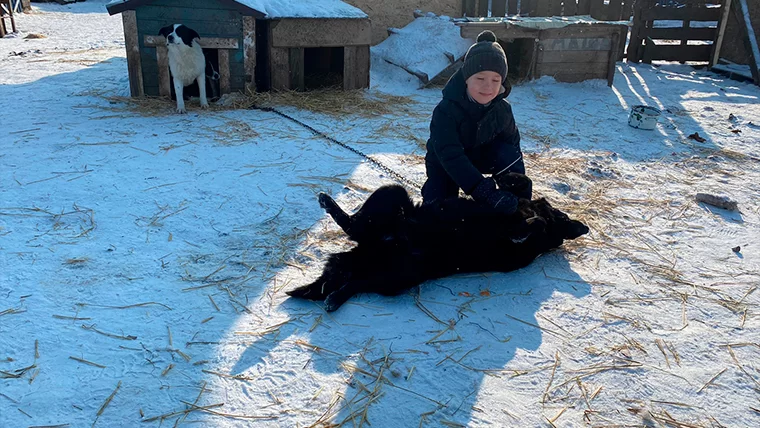 В Нижнекамске для детей с ОВЗ организовали необычную экскурсию к бездомным собакам