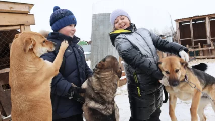 К собакам поедем? Спрашиваешь ещё!