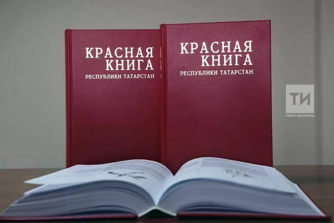 Красную книгу Татарстана переиздадут в 2025 году