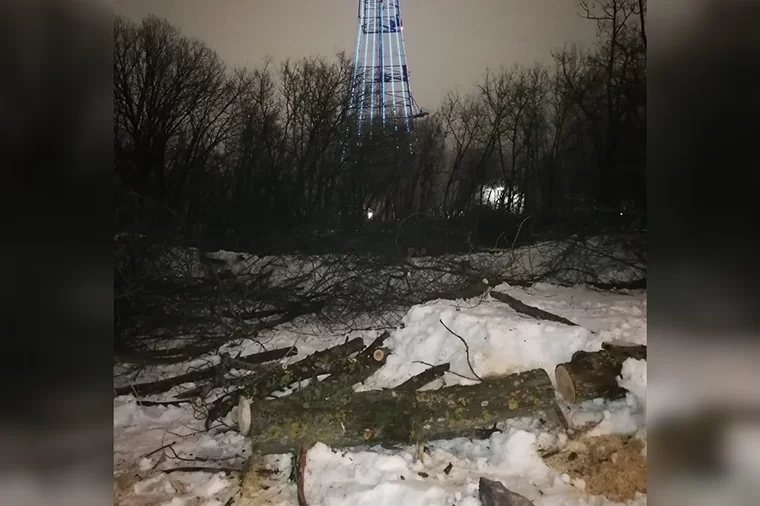 В исполкоме Нижнекамска объяснили причину вырубки деревьев в парке «СемьЯ»