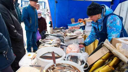 С начала осени в Нижнекамске на сельхозярмарках реализовано продукции почти на 78 млн рублей