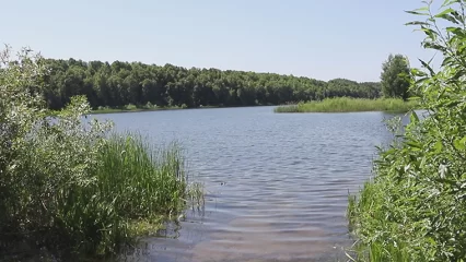 В Нижнекамском районе появится новый памятник природы