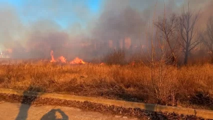 В Нижнекамске и районе за несколько часов вспыхнула трава на шести участках