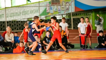 В Нижнекамске пройдет XI всероссийский турнир по вольной борьбе среди юношей