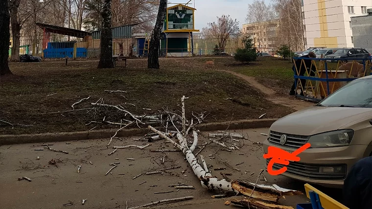 В Нижнекамске упавшая берёза чуть не задела дедушку и автомобиль