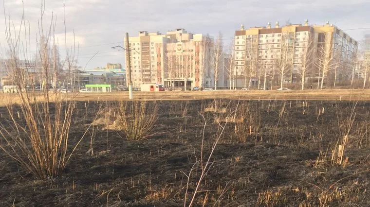 В Нижнекамске на пустыре горела сухая трава