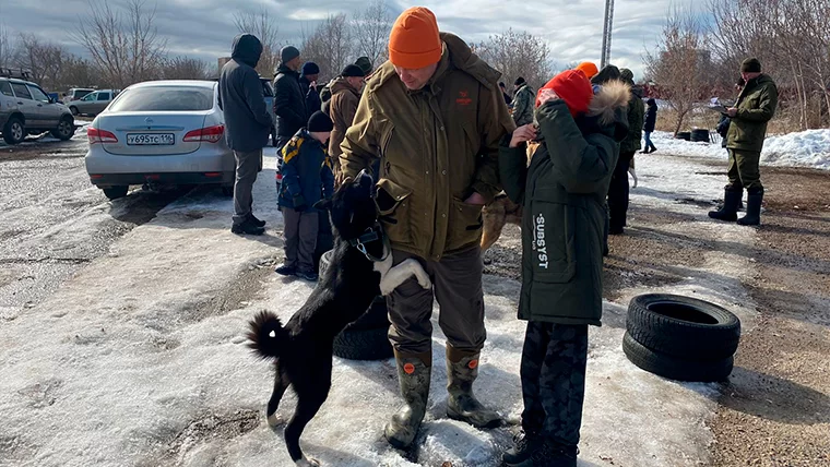 В Нижнекамске на выставке оценили 50 охотничьих собак со всего Татарстана