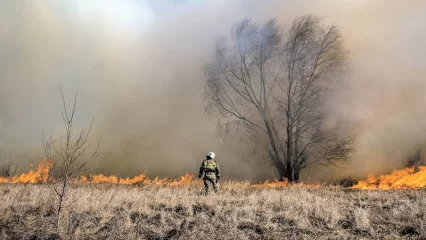 Спички дядям не игрушка!