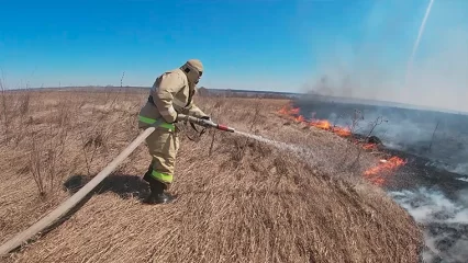 Нижнекамский район стал лидером по количеству ландшафтных пожаров в Татарстане