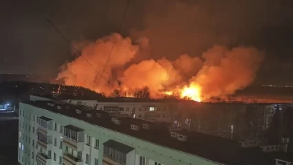 В Нижнекамске ночью горело поле на улице Береговой