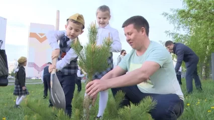 В Нижнекамске около школы высадили сосновую аллею, посвященную мобилизованным отцам учеников