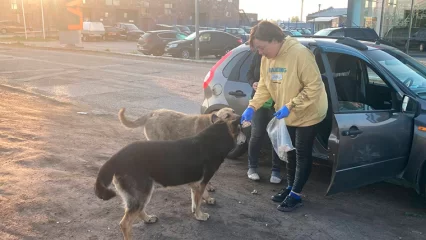 Дети рассвета