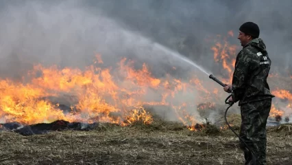 В Нижнекамском районе втрое увеличилось количество ландшафтных пожаров, инспекторы штрафуют нарушителей